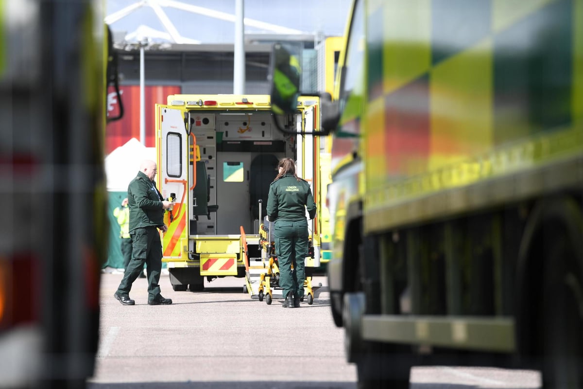 Five-year-old becomes Britain's youngest coronavirus victim | London Evening Standard