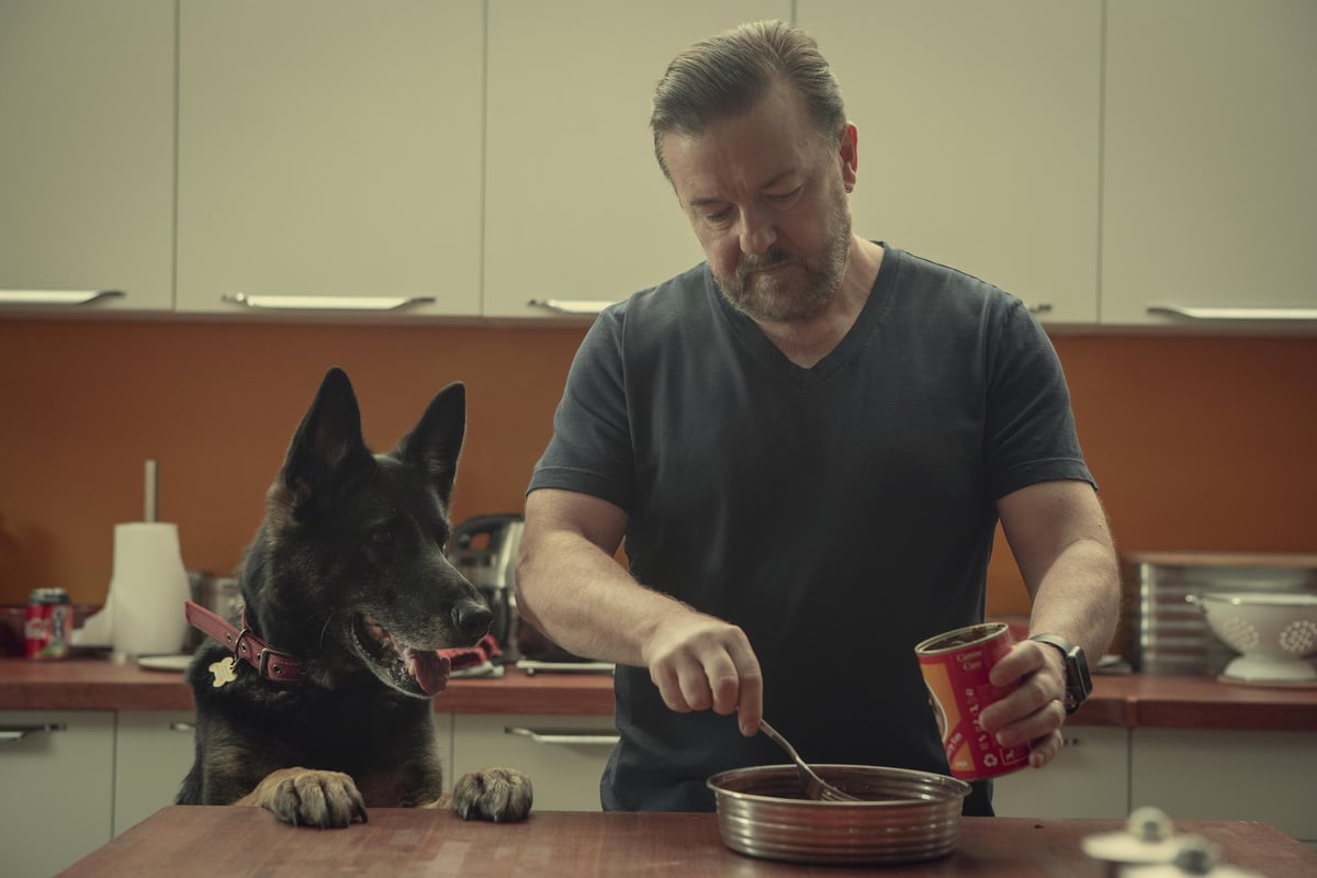 After Life 2 trailer sees Ricky Gervais's Tony on a journey of self-improvement | London Evening Standard