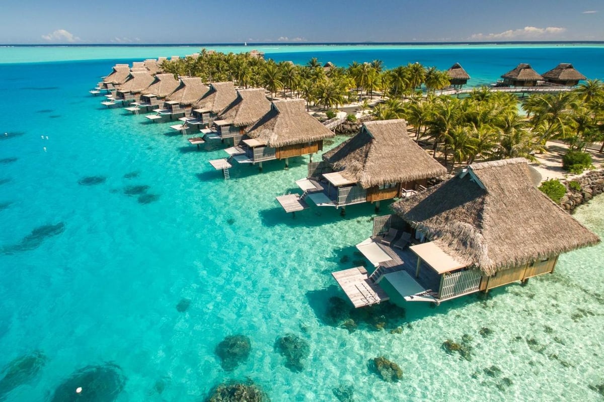 14 bucket list-worthy experiences to book post-pandemic | London Evening Standard