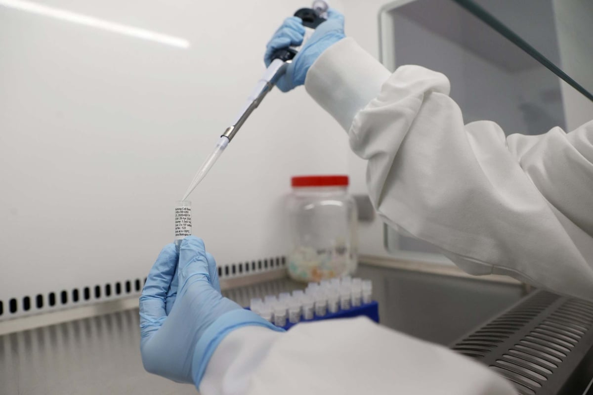 Oxford coronavirus vaccine found protective in small study on monkeys | London Evening Standard