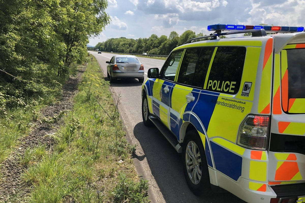 Motorist caught driving hundreds of miles to deliver puppy from Liverpool to Wales | London Evening Standard