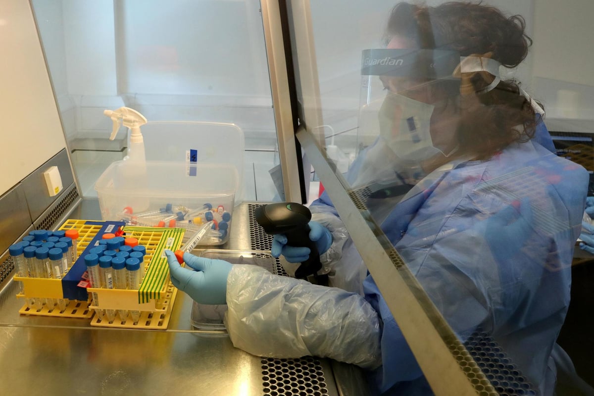 Government signs contract to supply 10 million Roche and Abbott antibody tests | London Evening Standard