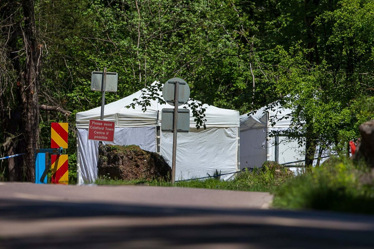 Pair arrested after woman's body parts found in two suitcases near Coleford | London Evening Standard