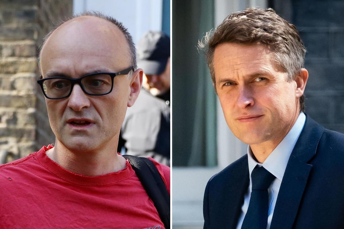 Gavin Williamson insists Dominic Cummings did not break law and says top aide should not resign | London Evening Standard