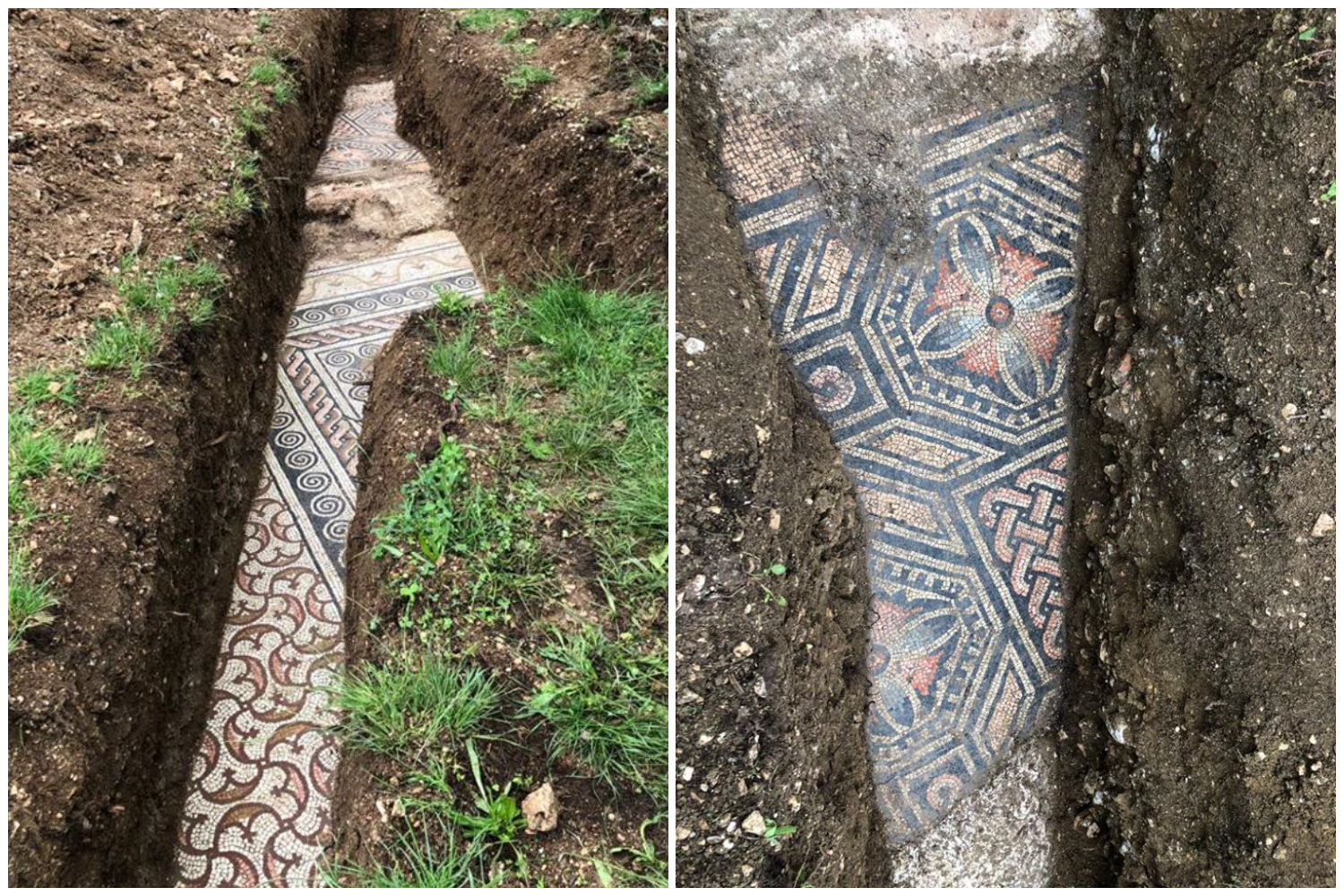 Intricate Roman mosaic found underneath Italian vineyard