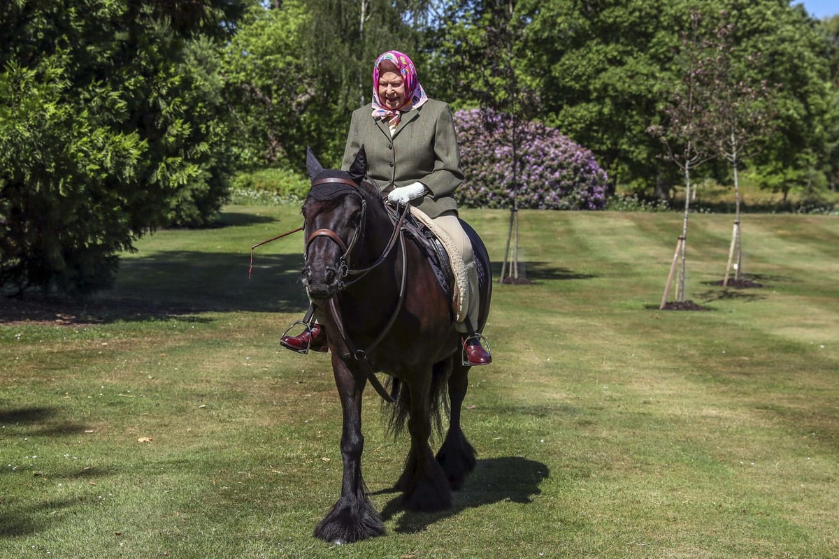 Queen gets back in the saddle at Windsor Castle in first public appearance since lockdown | London Evening Standard