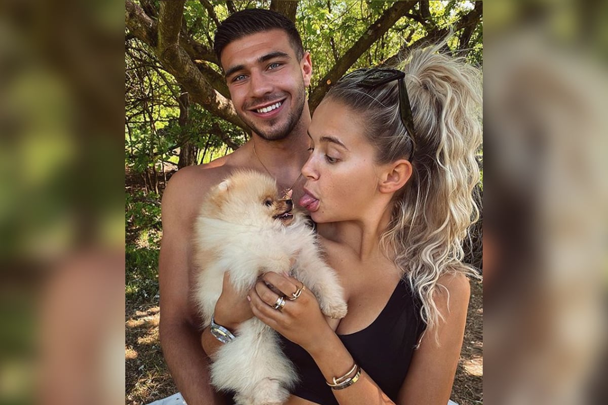Molly-Mae Hague and Tommy Fury hit back at accusations over death of new puppy | London Evening Standard