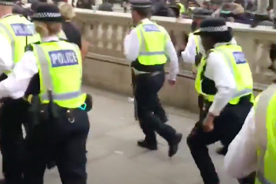 Footage from London Black Lives Matter rally shows police running from protesters as they are pelted with objects | London Evening Standard
