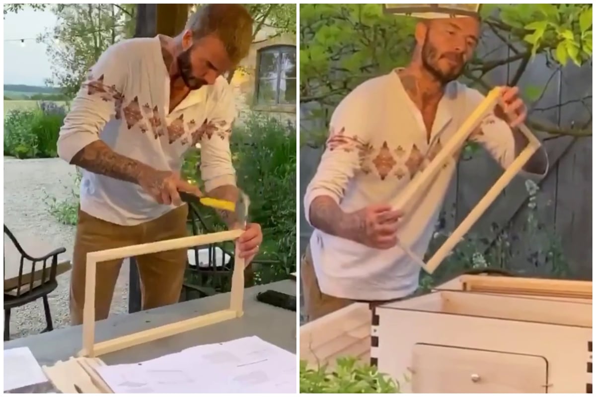 David Beckham builds a beehive and plans to make honey in his Cotswolds home | London Evening Standard