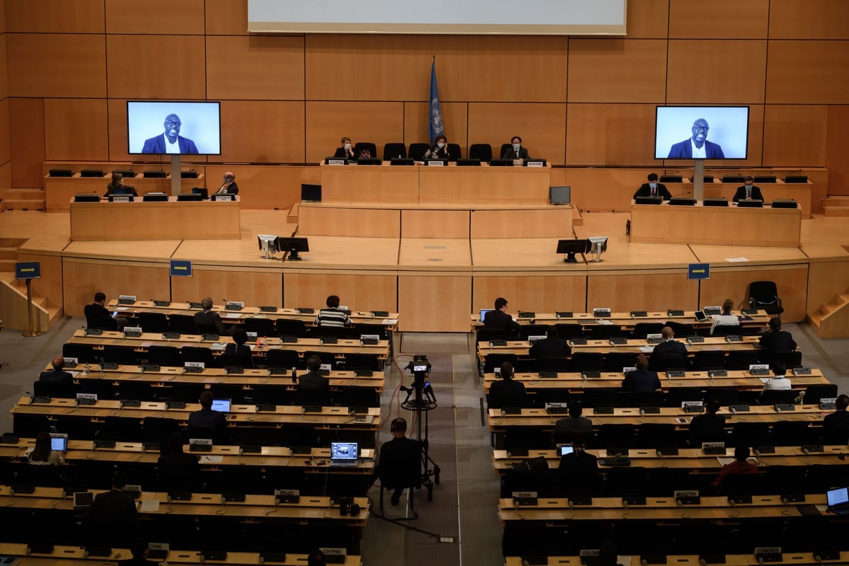 UN votes to commission report on systemic racism after George Floyd's brother makes plea to Human Rights Council | London Evening Standard