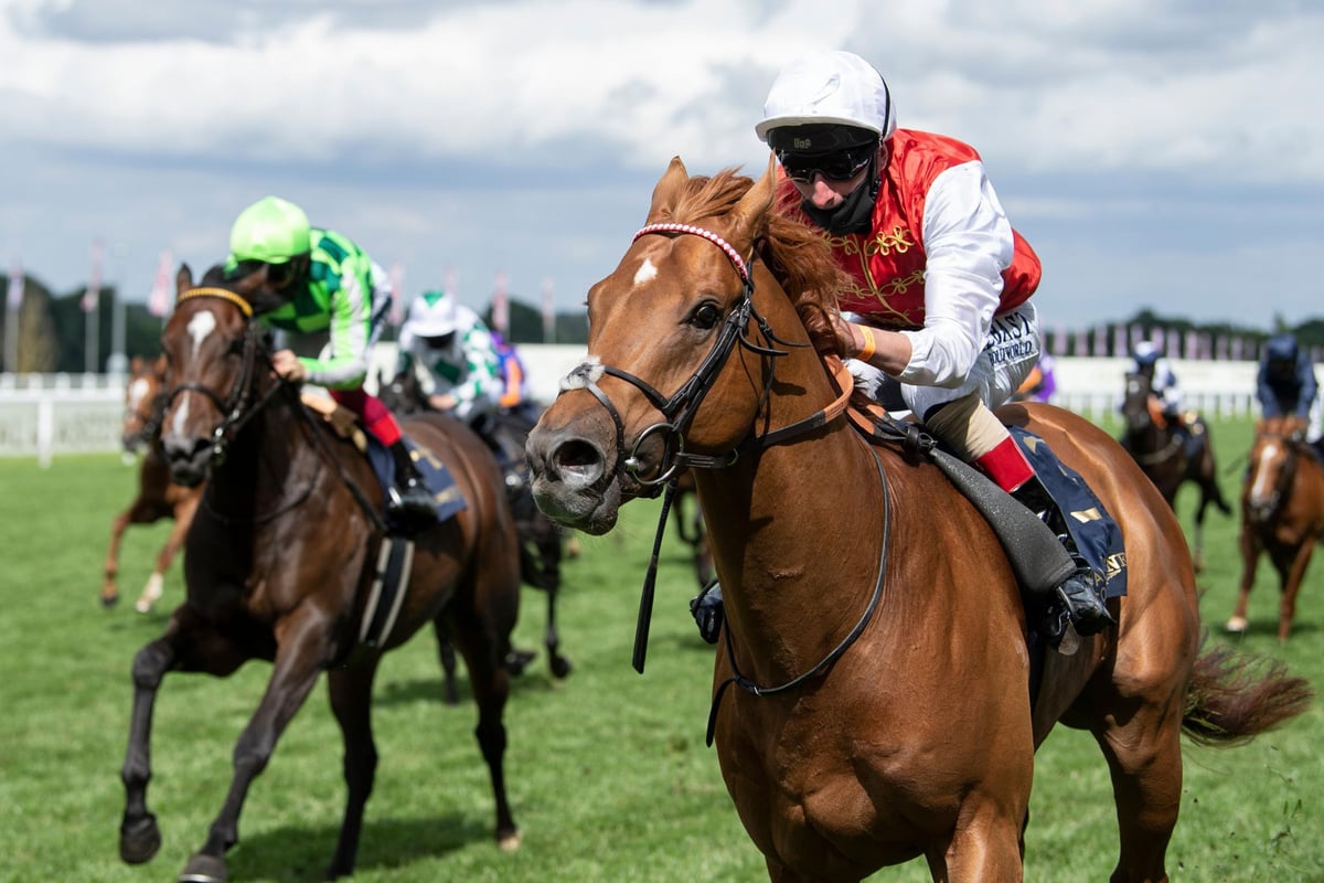 Market report: Gold and gambling stocks in favour as markets wobble | London Evening Standard
