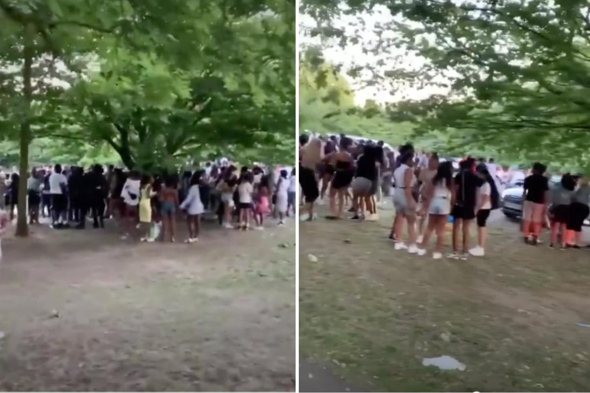 Police disperse huge crowds at unlicensed music event at Streatham Common | London Evening Standard