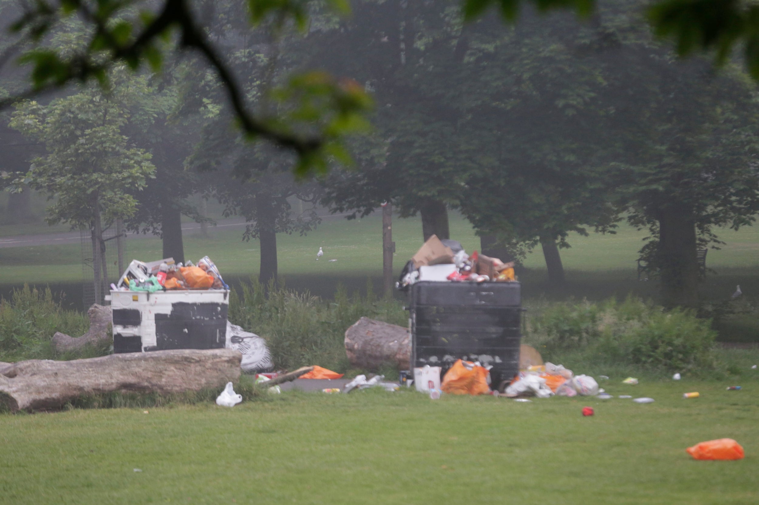 London park boss warns green spaces 'are not a toilet' ahead of July 4