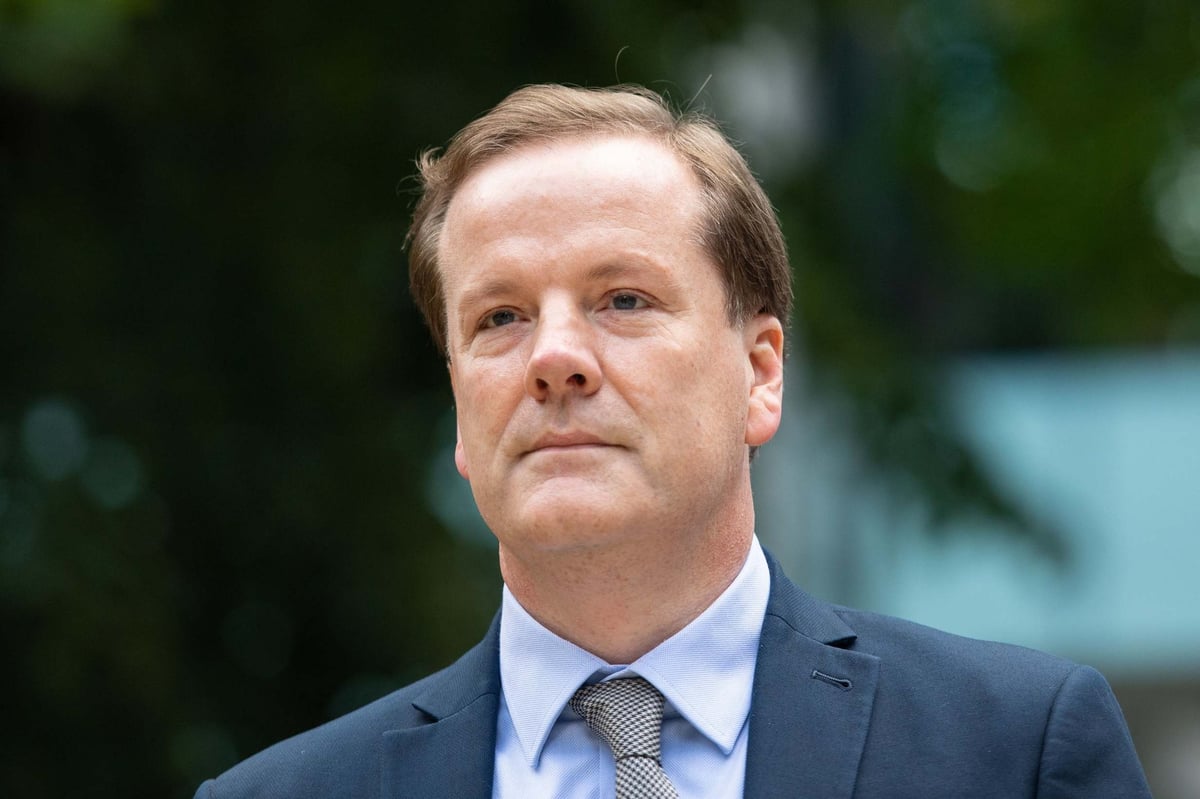 Married ex-MP Charlie Elphicke admits being ‘besotted’ with young woman but denies assaulting her | London Evening Standard