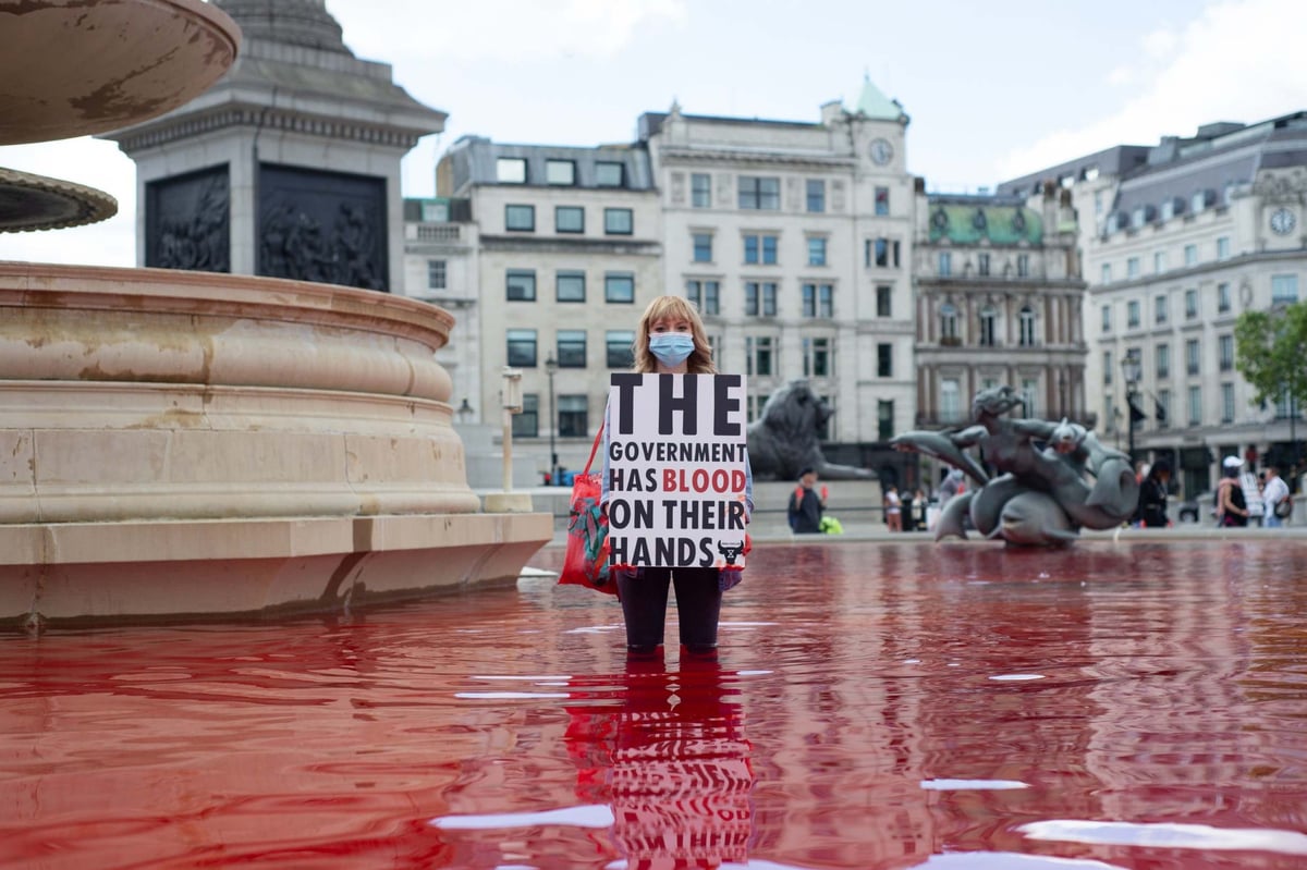 Two arrests after Animal Rebellion activists dye Trafalgar Square fountains blood red | London Evening Standard