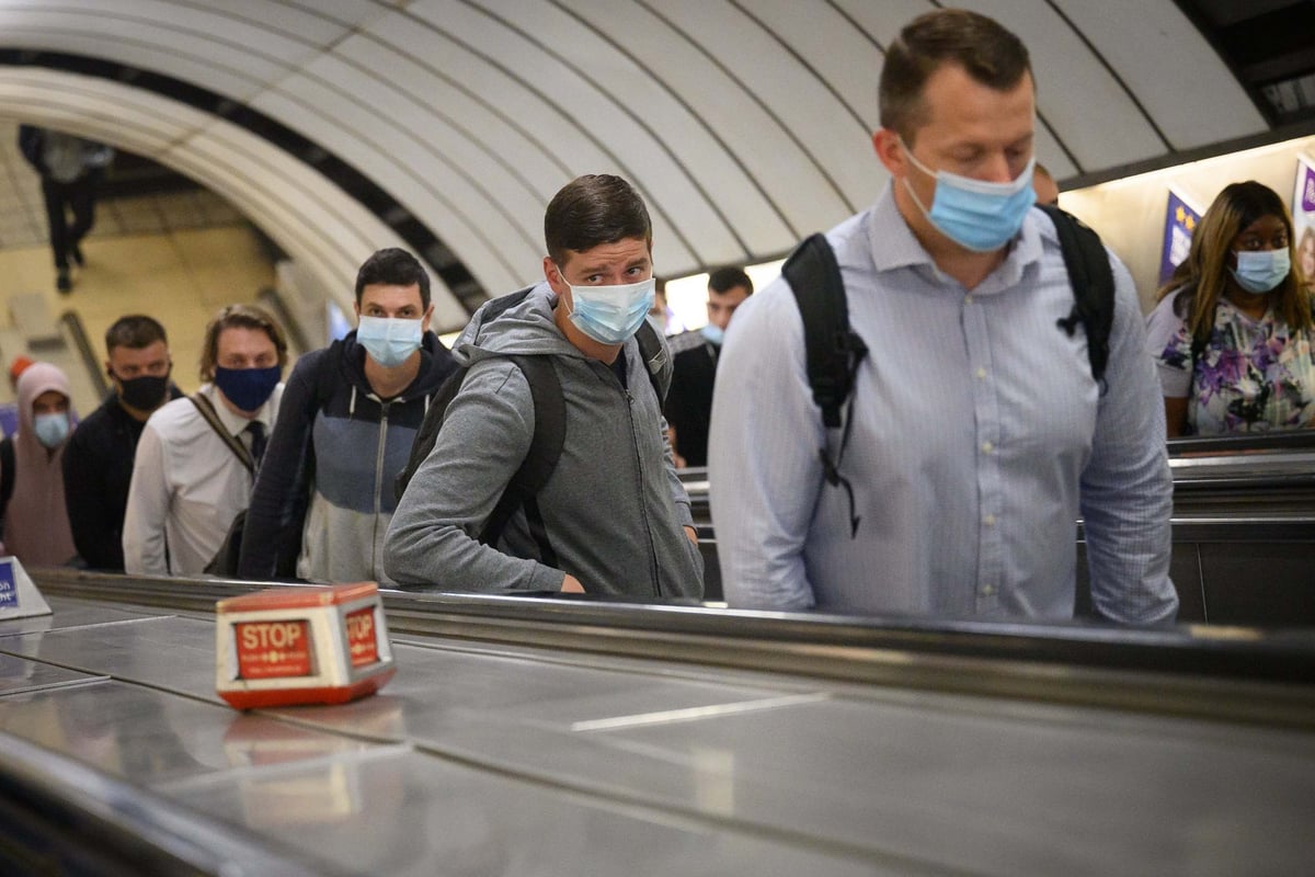Further coronavirus restrictions may be needed to curb sharp rise in cases with 'uptick' in deaths expected, Professor Neil Ferguson warns | London Evening Standard