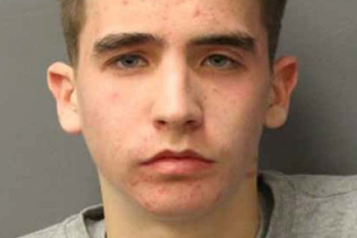 Hakim Sillah murder: Killer Vladimir Nachev stabbed teenage victim with Rambo knife just months after being released from jail | London Evening Standard