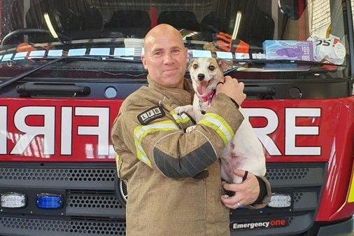 Firefighter fosters Jack Russell dog he saved from east London blaze | London Evening Standard