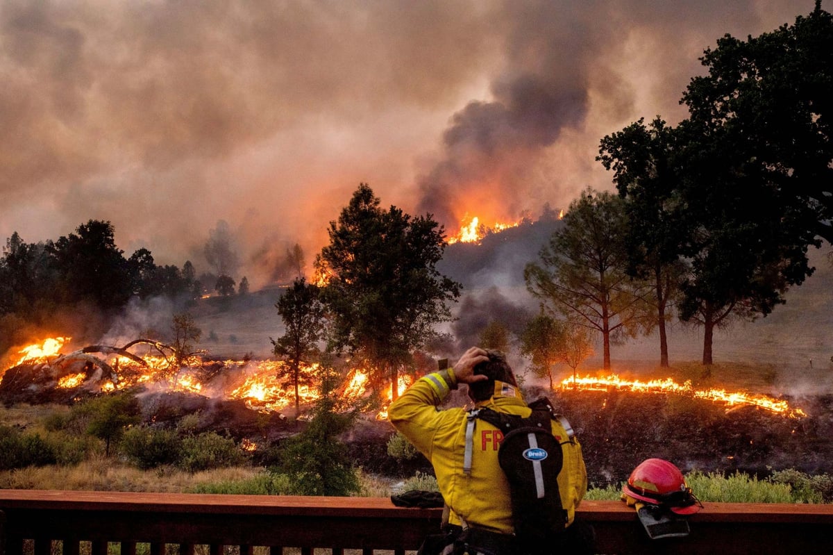 Donald Trump declares major disaster over California wildfires | London Evening Standard
