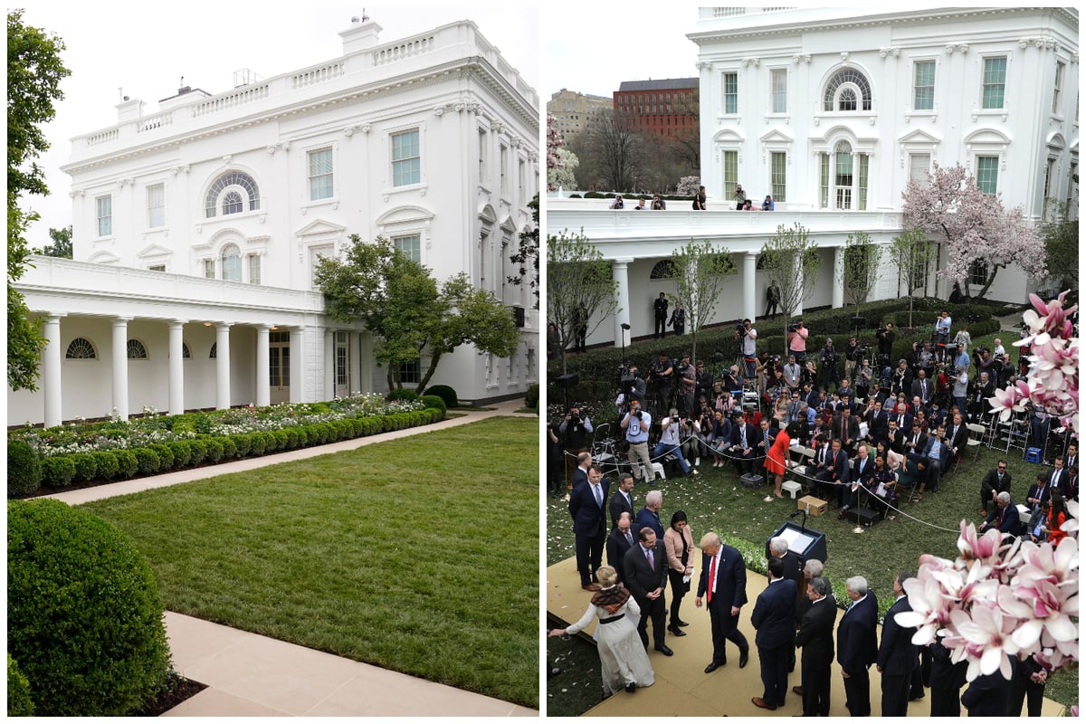 Melania Trump's new-look White House rose garden slammed ahead of Republican convention speech | London Evening Standard