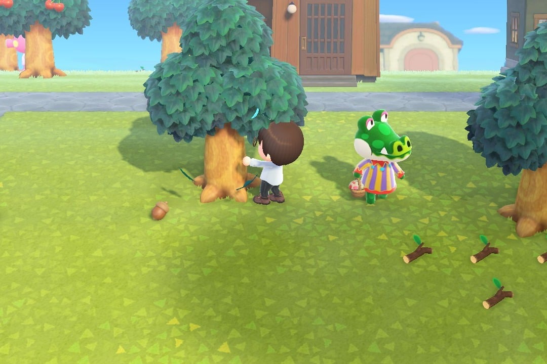 Animal Crossing Fall season changes: How to get pine cones, acorns and more this autumn | London Evening Standard