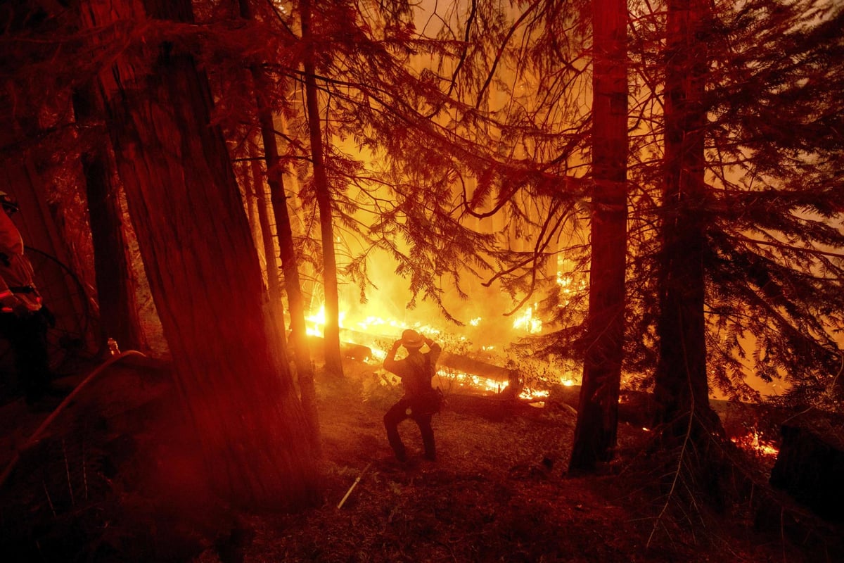 California wildfires burn a record two million acres as LA sees its hottest ever temperature of 49.4C | London Evening Standard