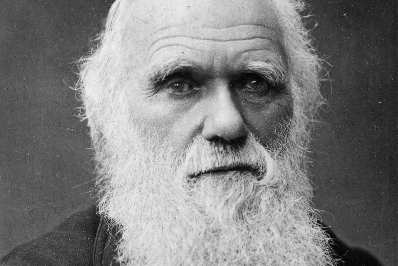 Rare Charles Darwin manuscript may fetch over £1m at auction