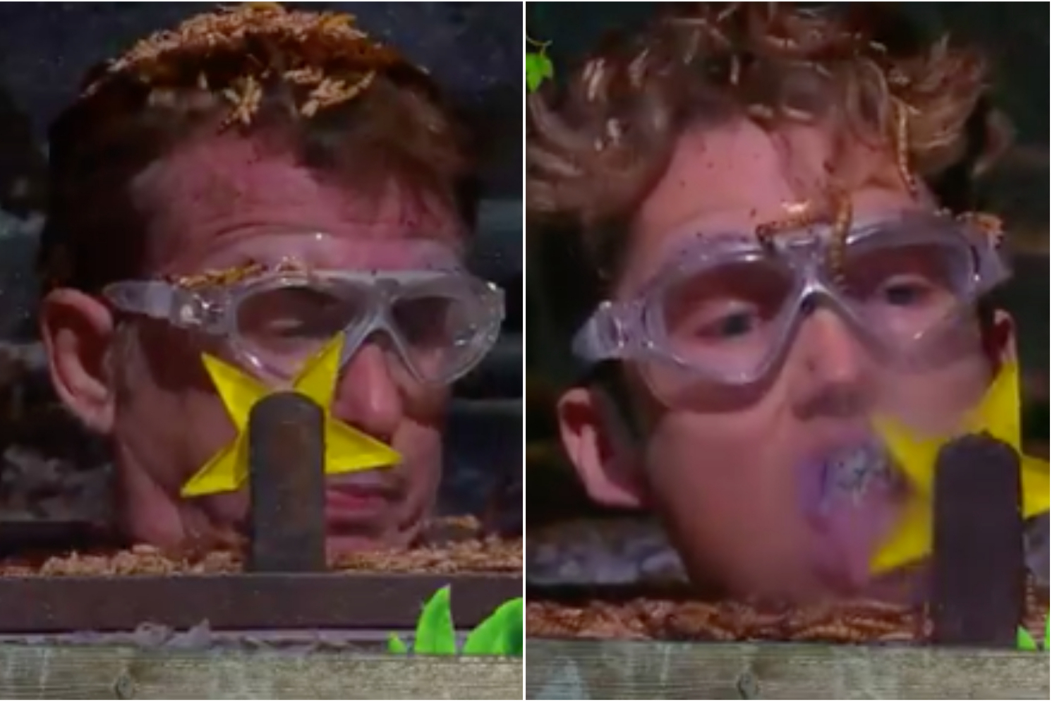 I’m a Celebrity: Richie and AJ bag stars ahead of first eviction
