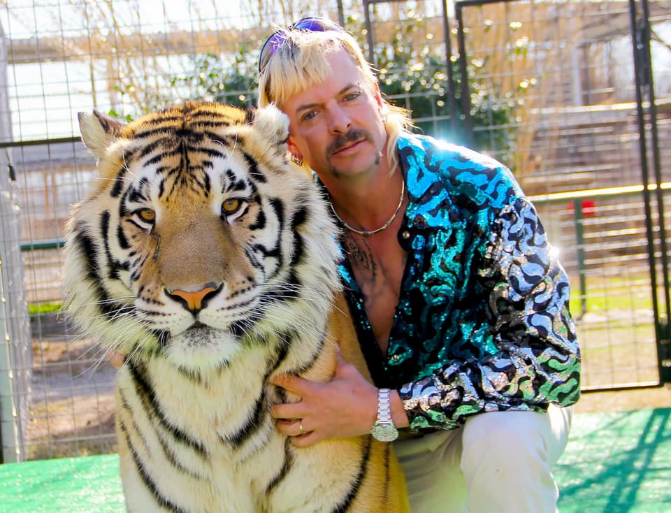 FILES-US-ENTERTAINMENT-TELEVISION-ANIMAL-TIGERKING