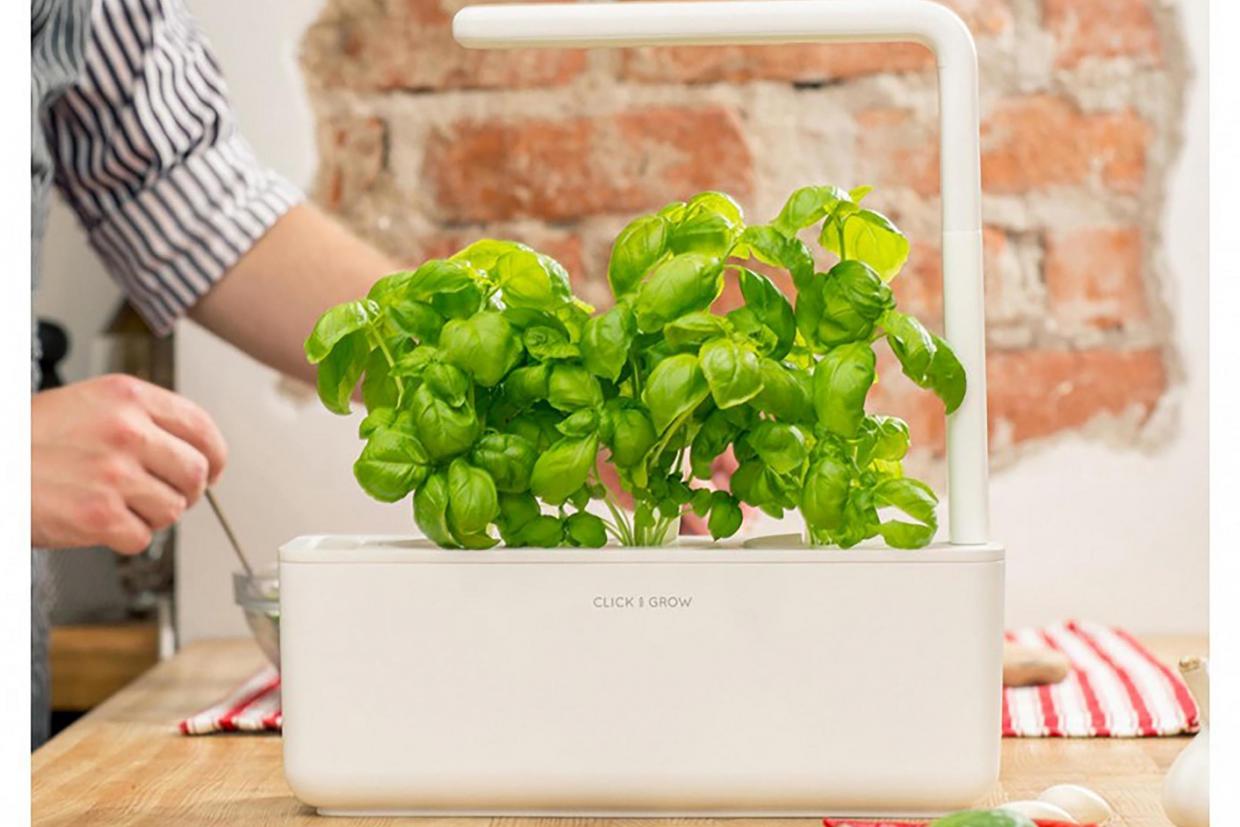 Best indoor herb garden kits for your kitchen
