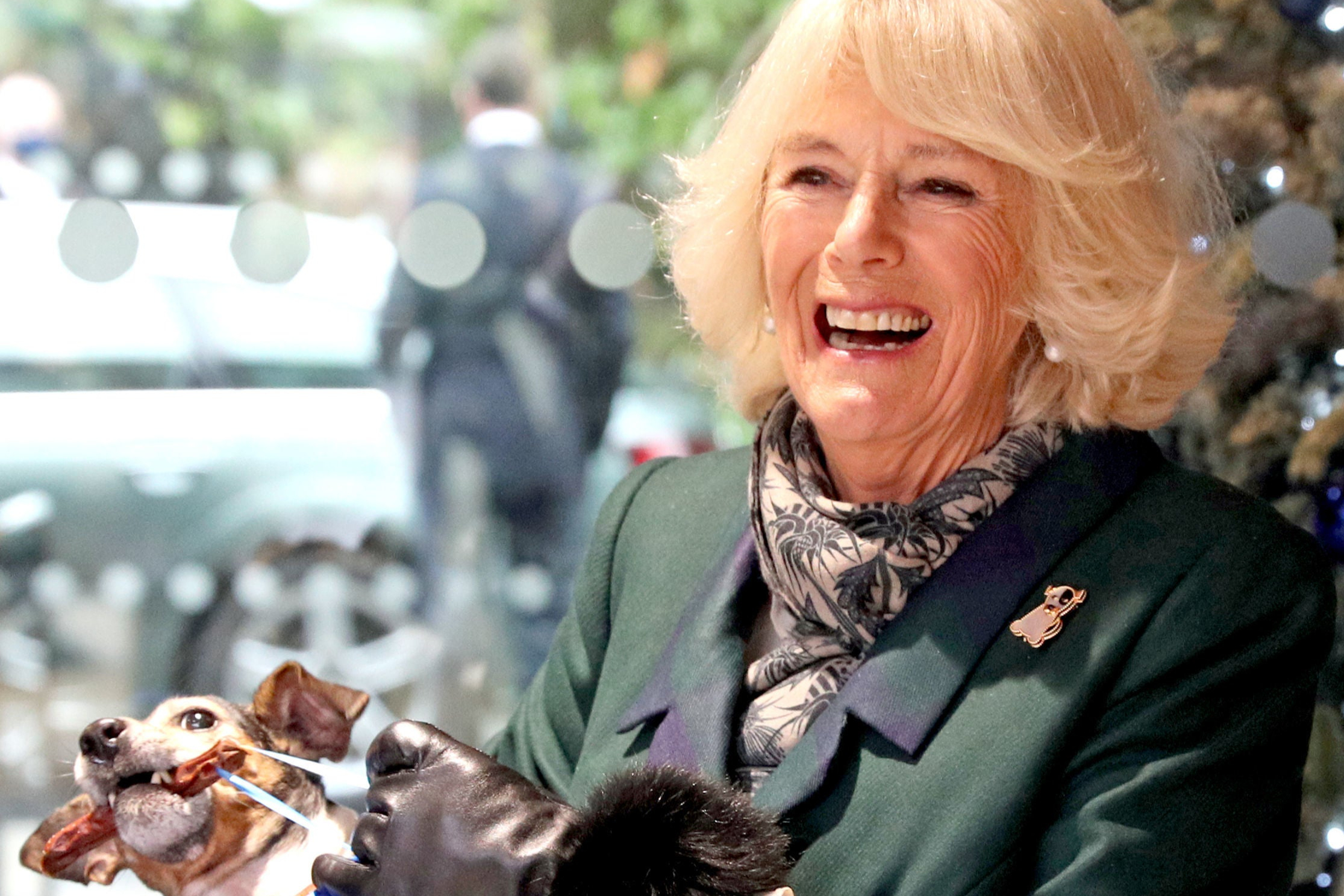 Duchess of Cornwall to appear on Strictly Come Dancing final as stars battle it out for glitterball trophy
