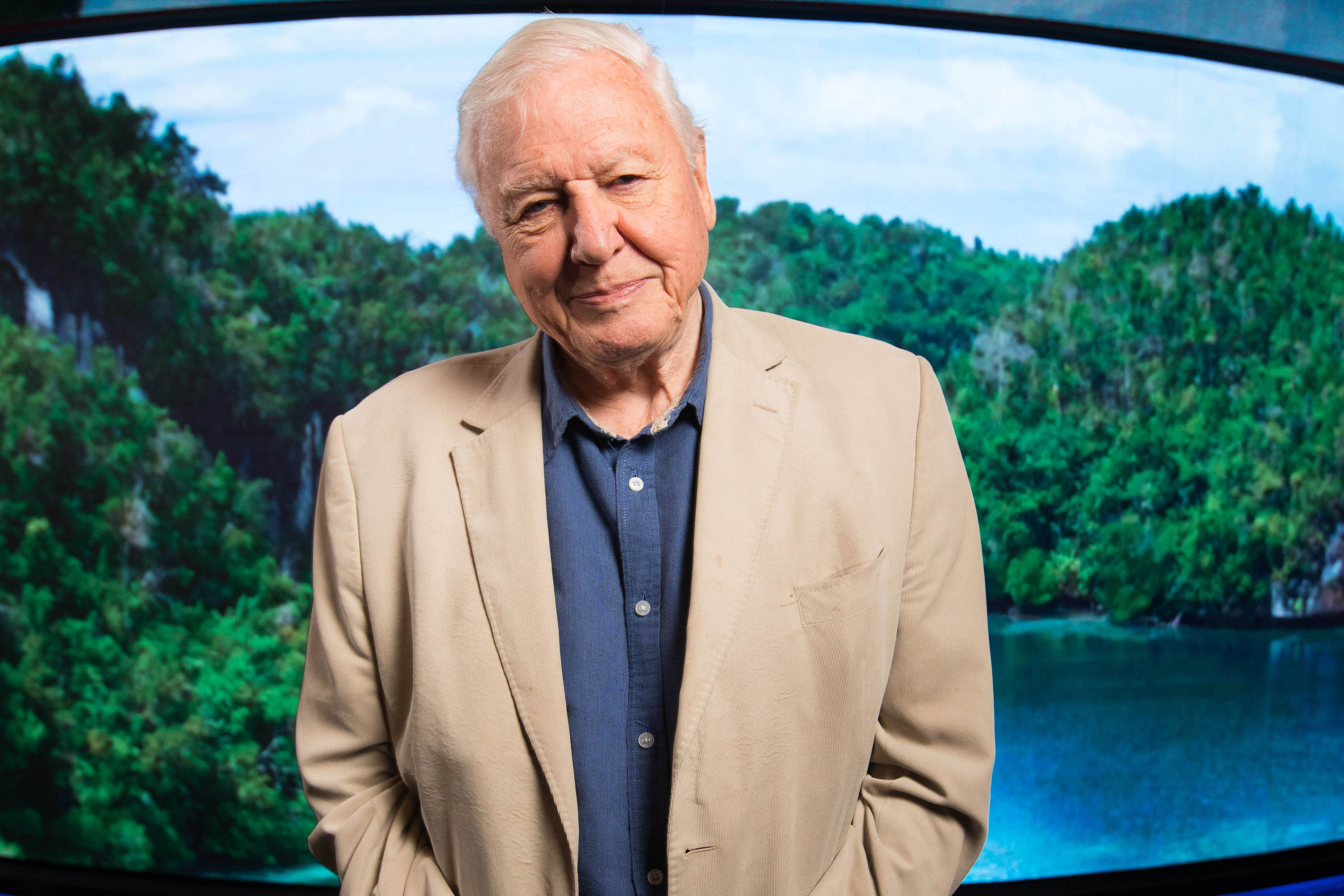 Sir David Attenborough, 94, receives the Covid-19 jab