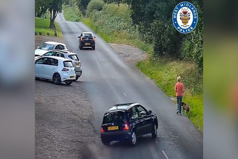 Teenager charged over ‘hit-run crash that killed dog’