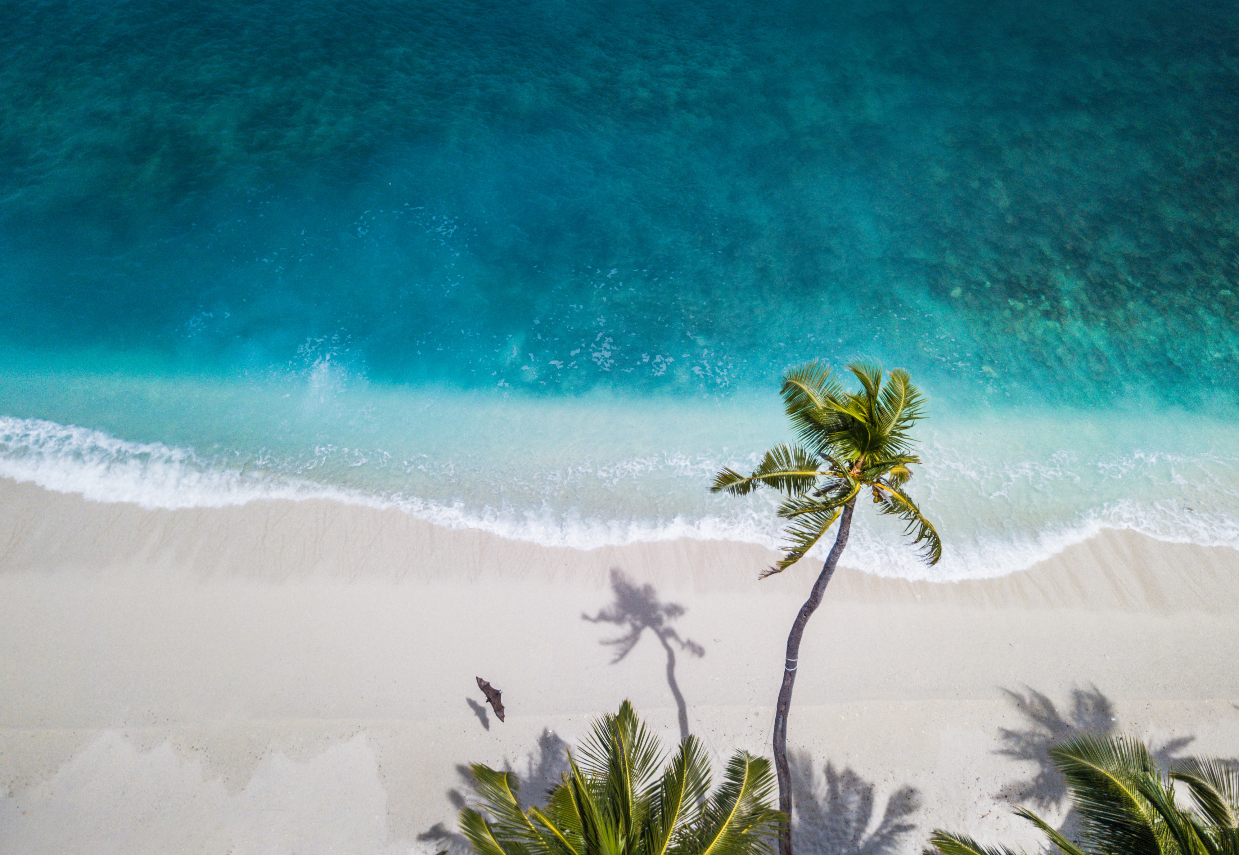 Travel insurance for a one-off trip