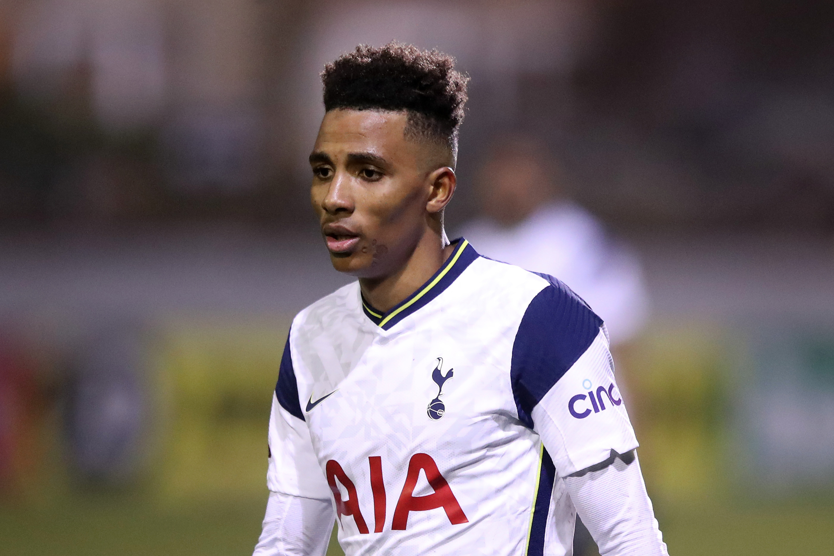 Gedson Fernandes leaves Tottenham early as Benfica end loan stint
