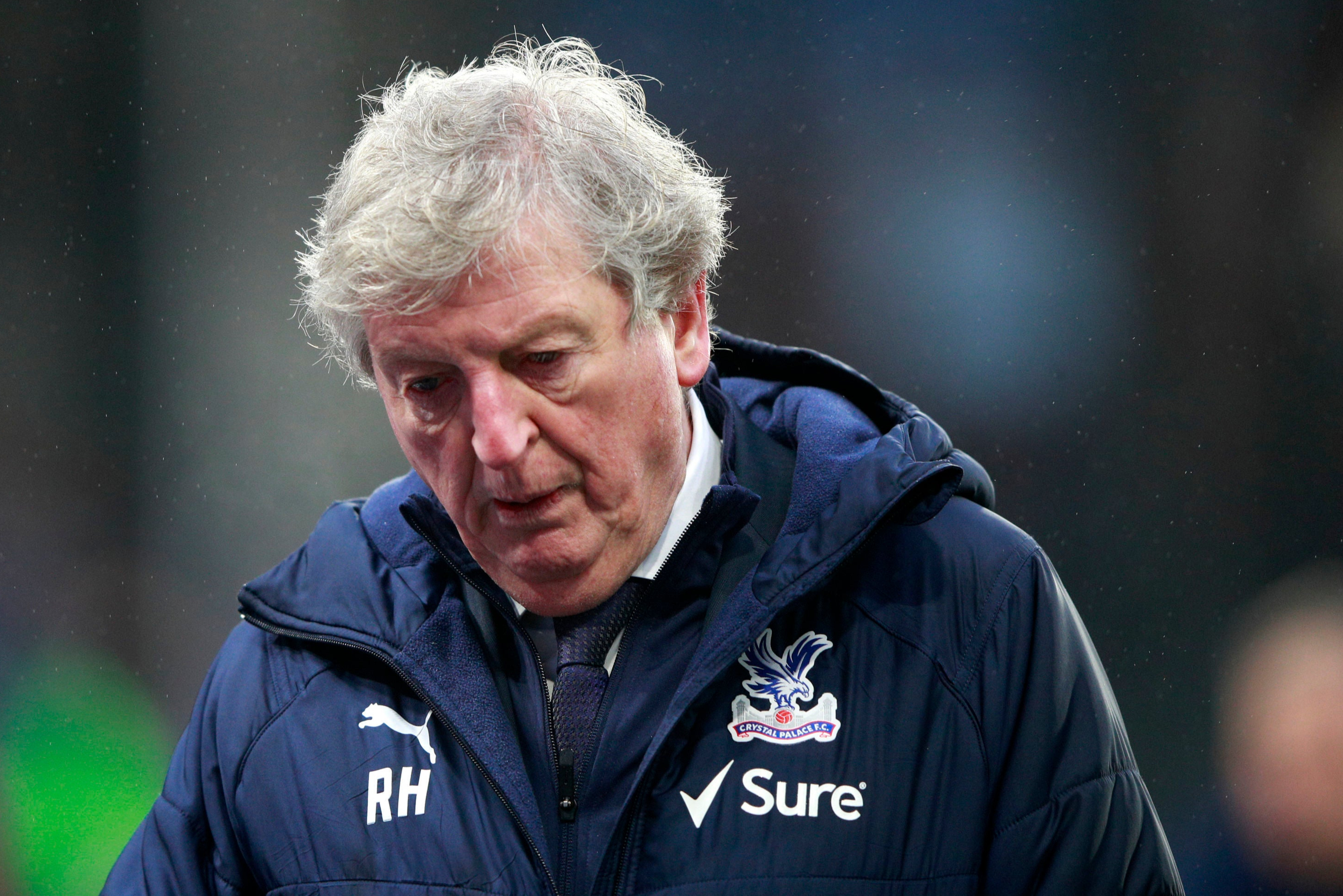 Roy Hodgson warns Crystal Palace fans to be careful what they wish for after protests