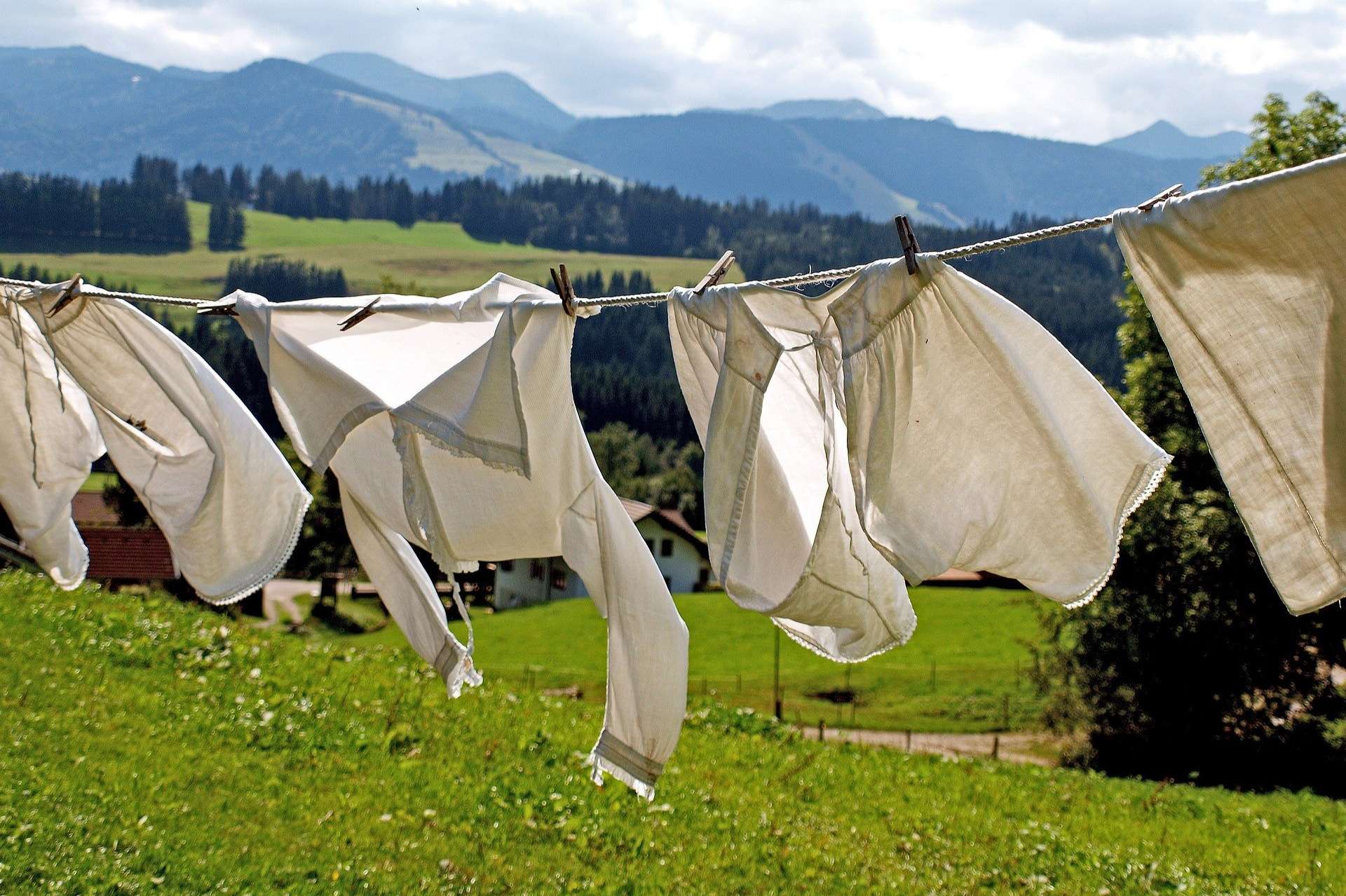 Best eco-friendly laundry products: from detergent to laundry balls and whitening 