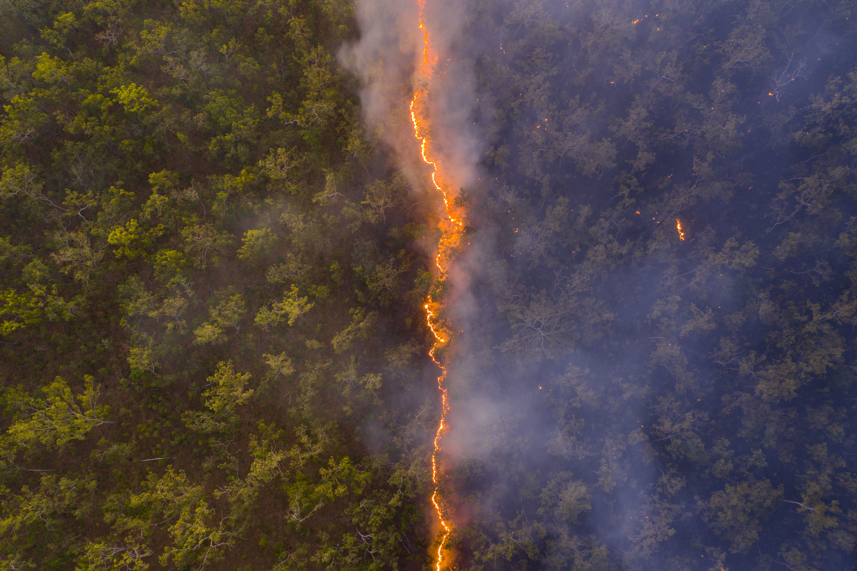 Wildlife Photographer of the Year