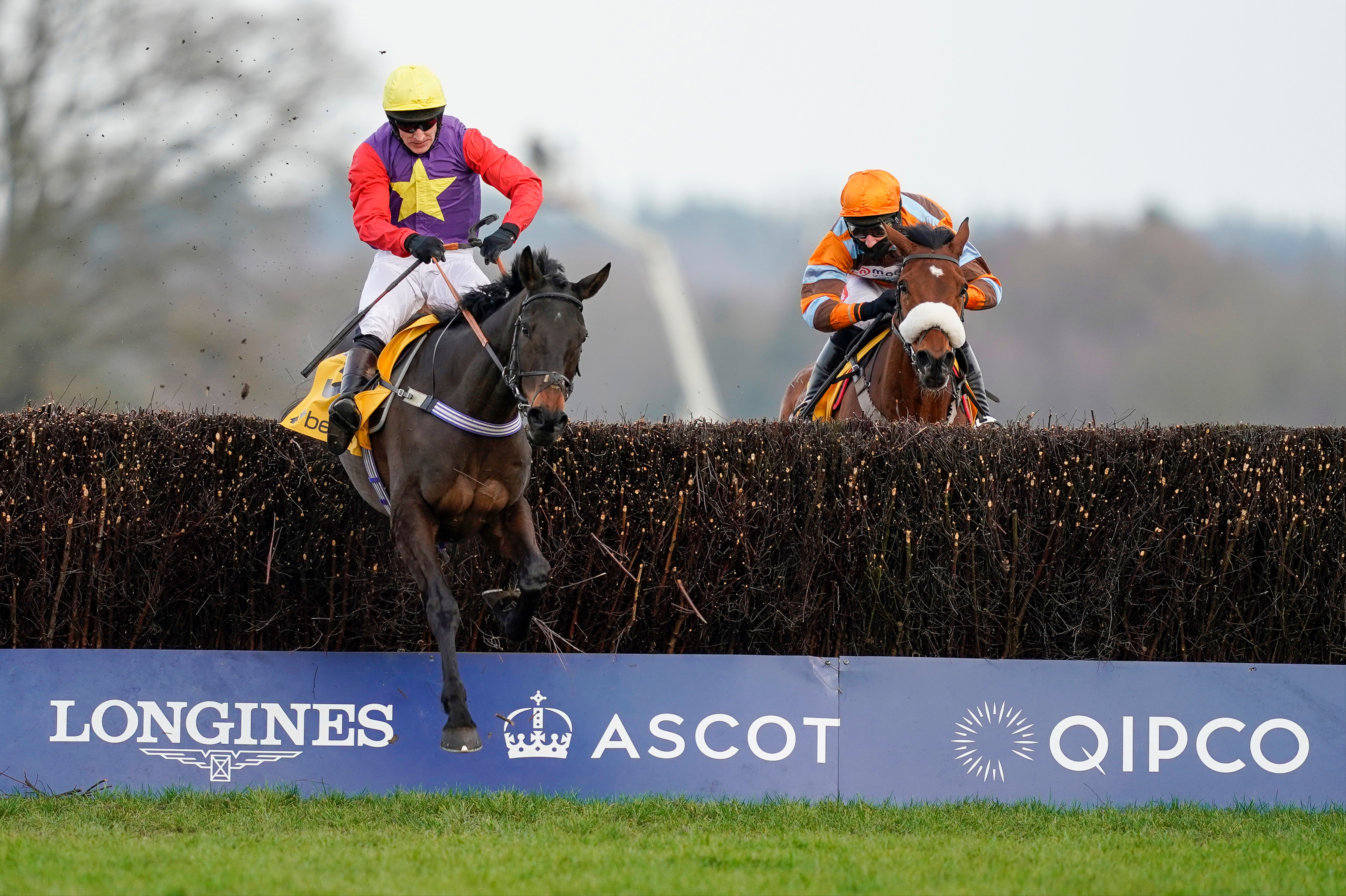 Today’s horse racing at Ascot, Wincanton and Haydock - LIVE!