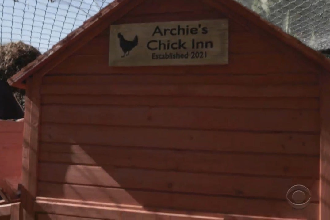 Trend watch: how Archie’s Chick Inn stole the show in Meghan and Harry’s Oprah interview