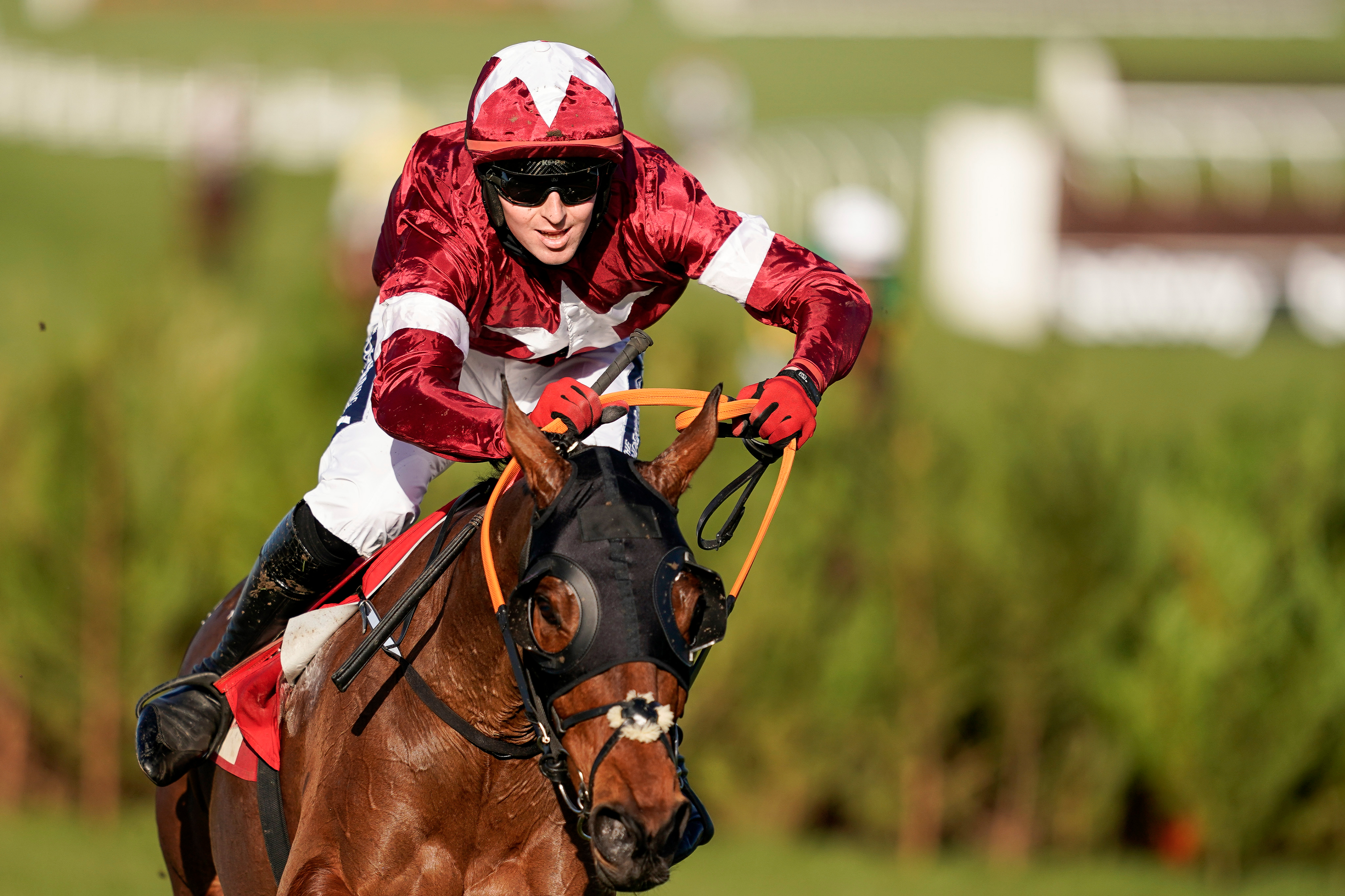 Cheltenham Festival 2021 LIVE results: Tiger Roll wins - tips, racecards, weather from Day Two racing today