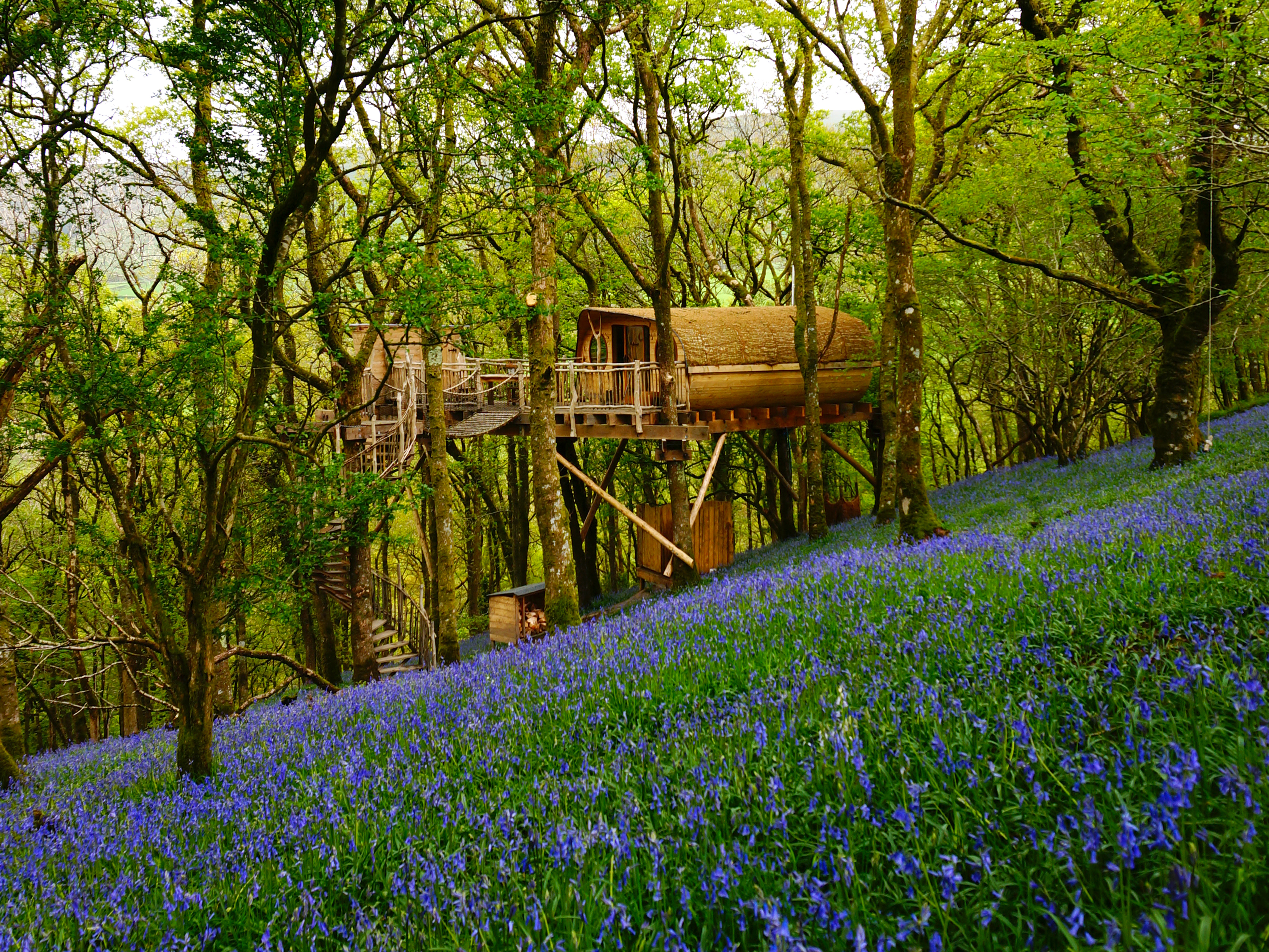 10 of the best treehouses in the UK for a 2021 summer staycay