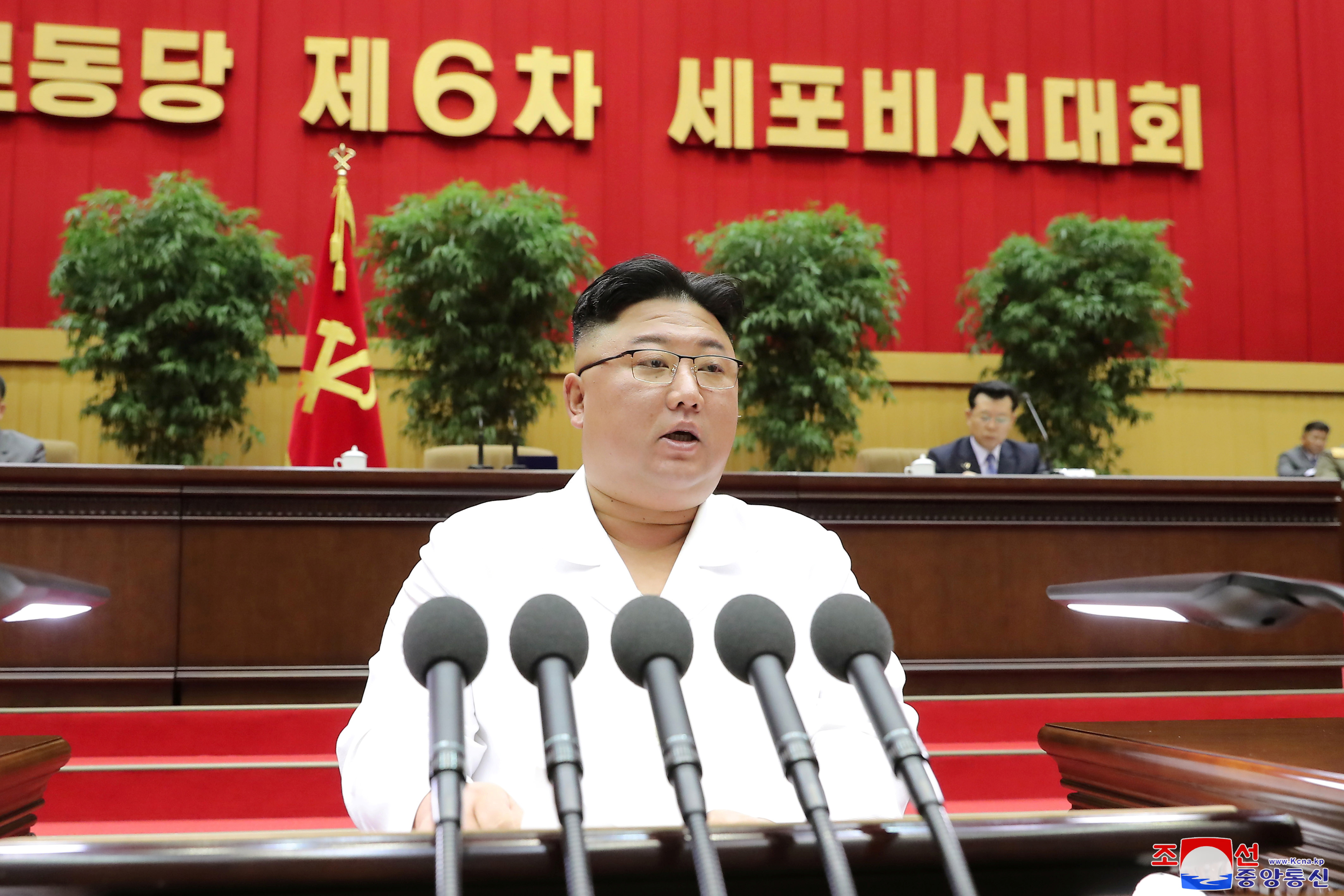 KCNA picture of North Korean leader Kim Jong Un addressing a conference of the Workers' Party's cell secretaries in Pyongyang