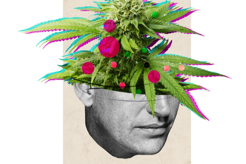 The celebrity stoners making millions from their legal weed businesses