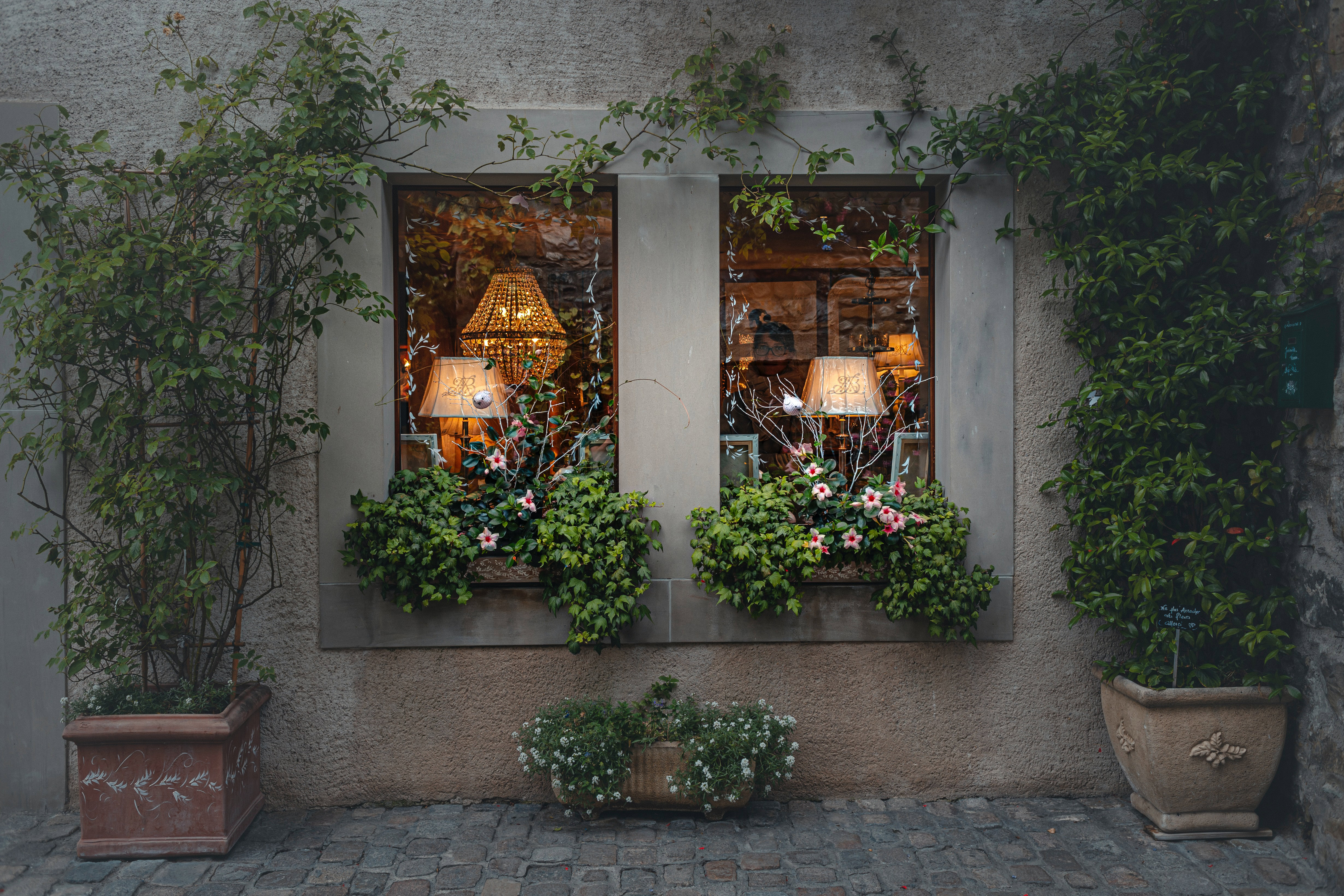 Best window sill planters: keep your windows bright with these plant boxes
