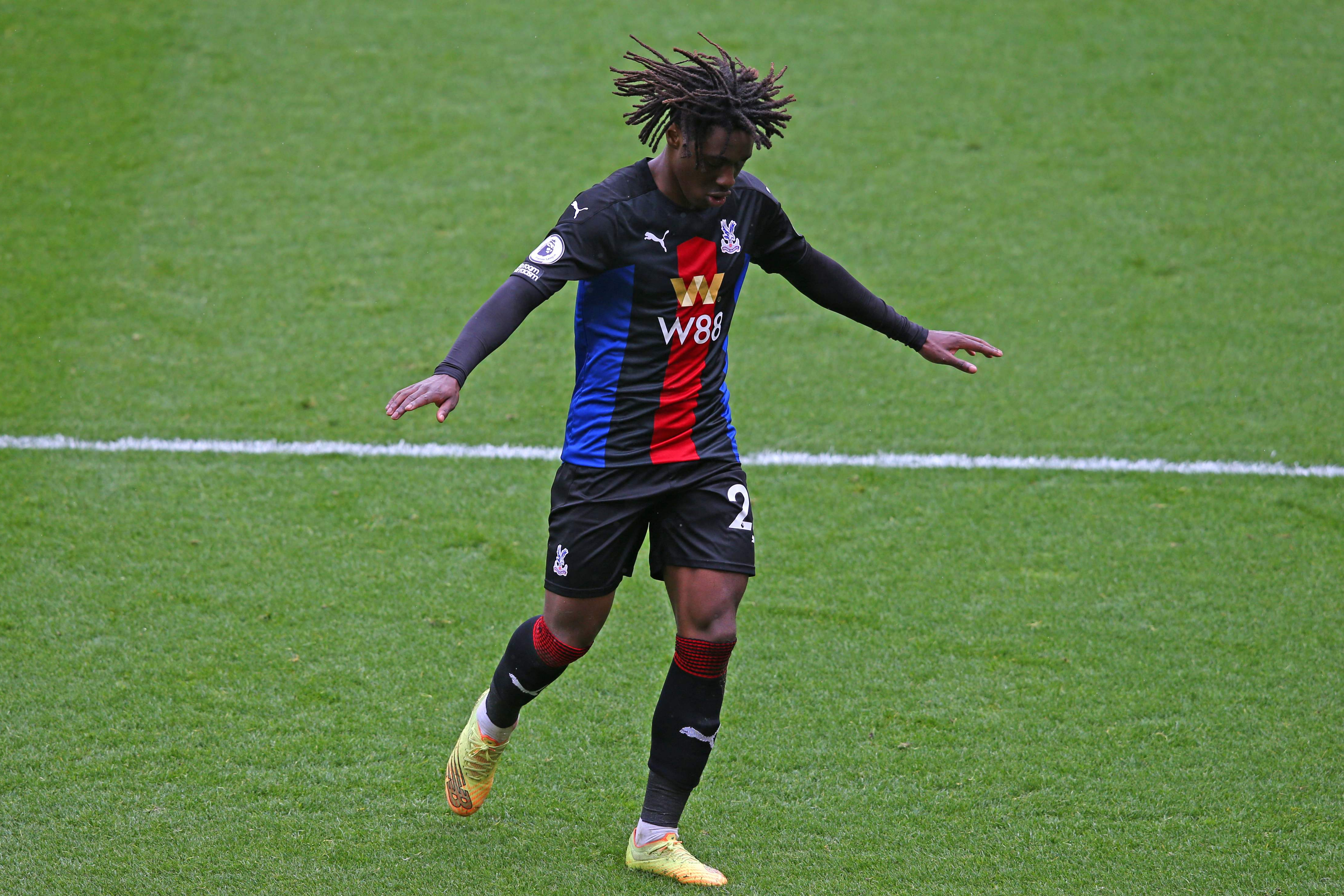 Crystal Palace star Eberechi Eze can handle hype and should aim for England, says Roy Hodgson