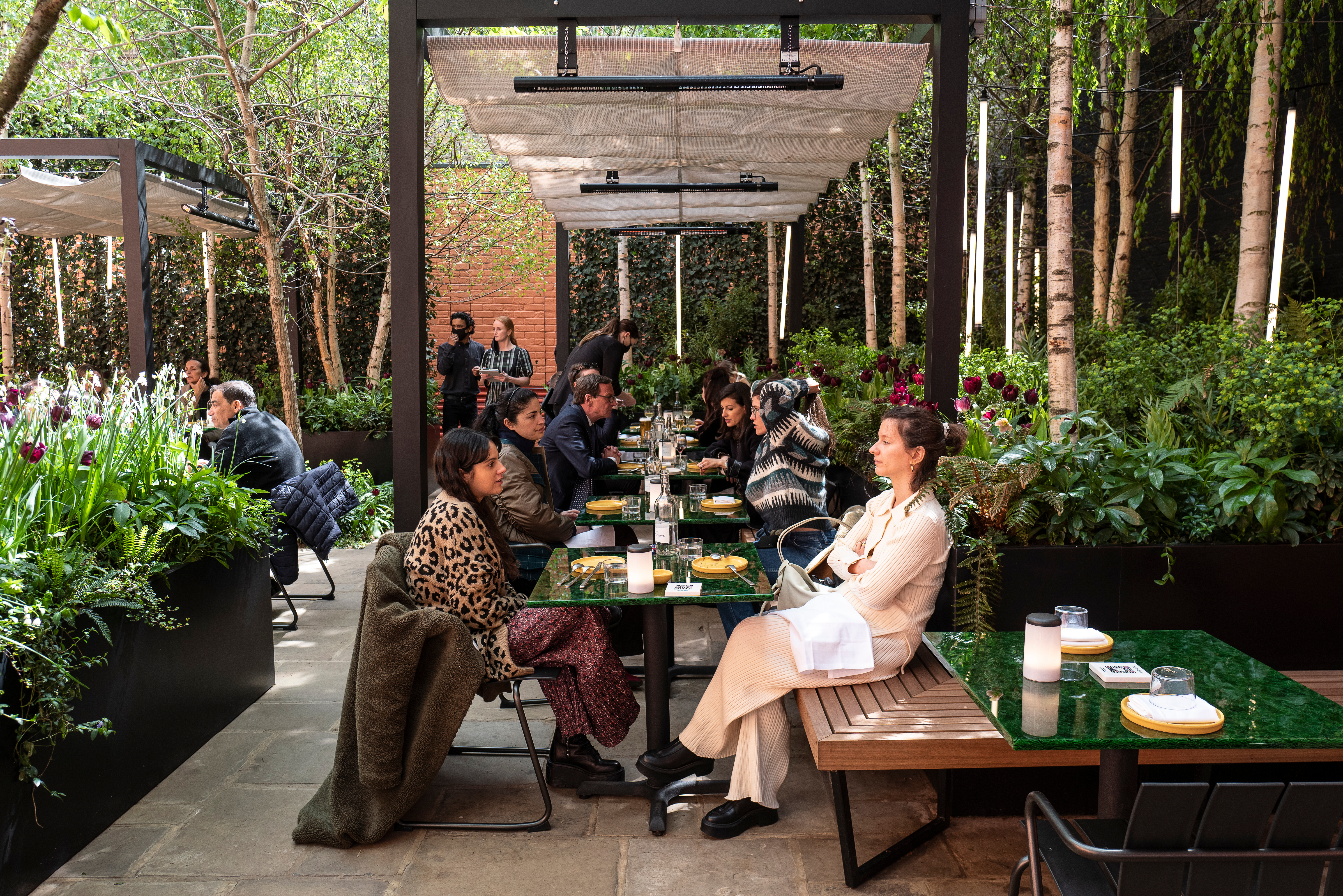 Jimi Famurewa reviews Native at Browns: Untamed, unlikely triumph of radical climate-conscious cooking