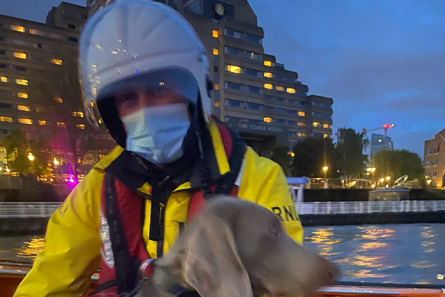 Lawyer rescued after plunging into River Thames to rescue dog