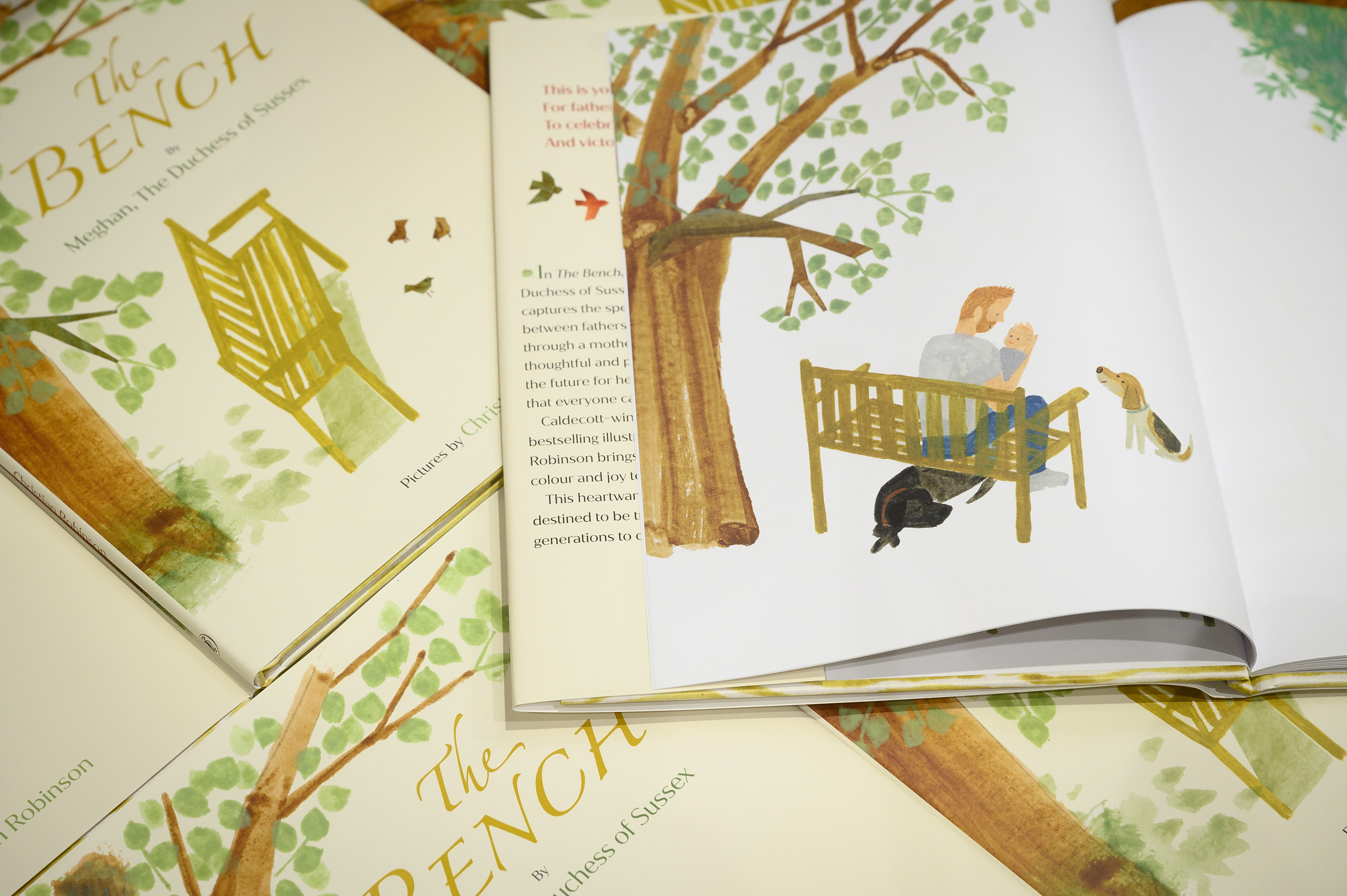 Meghan Markle's Book 'The Bench' Hits Shelves