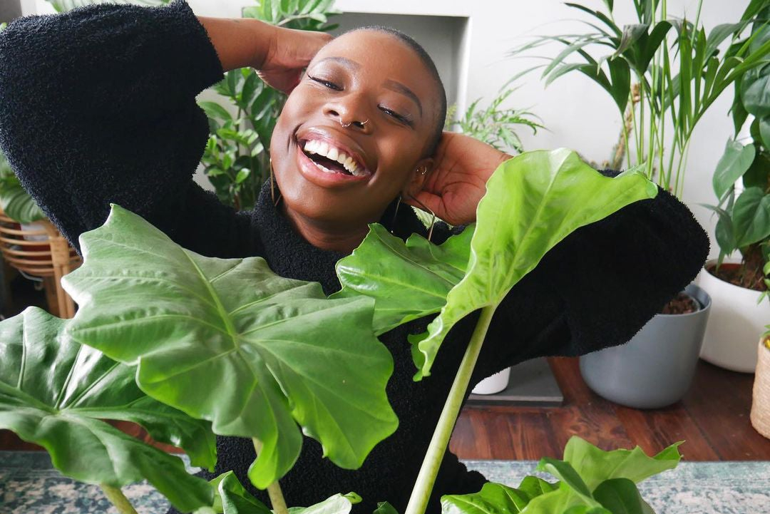 Herb your enthusiasm: best gardening influencers to follow now